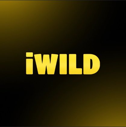 Was macht ein Wochenende wirklich entspannend?